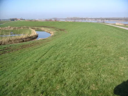 btlukteanftcd4e5eojcybsbw 126057