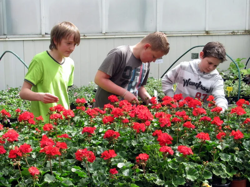 bykhx9q7lfi4xy9kjns34xnnv 226699