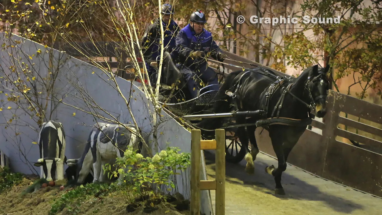 bz2x3fim9rf6ifwen5z4ojy59 2013 11 23 menindoor