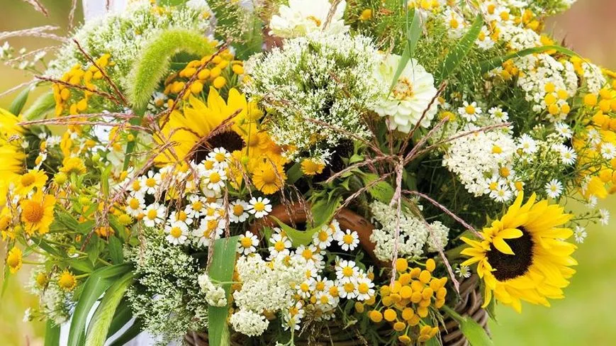 cgges4ceyfd0onarritc1i4v0 zomerbloemen