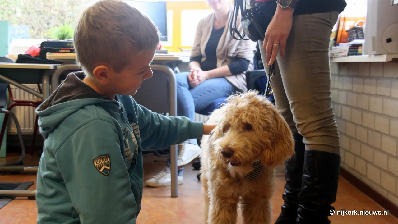 crcvwm1rtvpe45vr28m9q6klr 2013 11 08 hondentaal 3