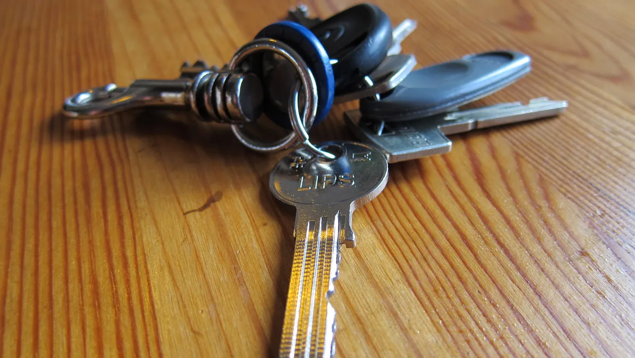 d899b832fuowxohef8bqxniid sleutelbos