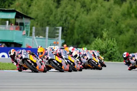 dfn84iejlzjwvo4l8bigk35zp 79896