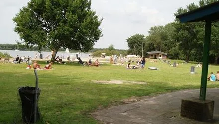 dimopthioth4gu0x1npsqac6g 119018