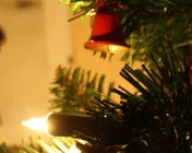 diyu746ay7it6ep43esvubhpp 37732