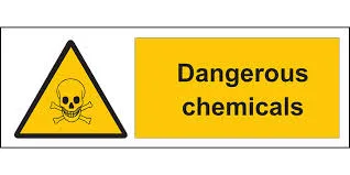 dtn3ef4ewnf6sy766r5gjv7b5 download 4