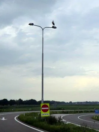 ejztz3dv304hbde3ymq8n5vwj 81541