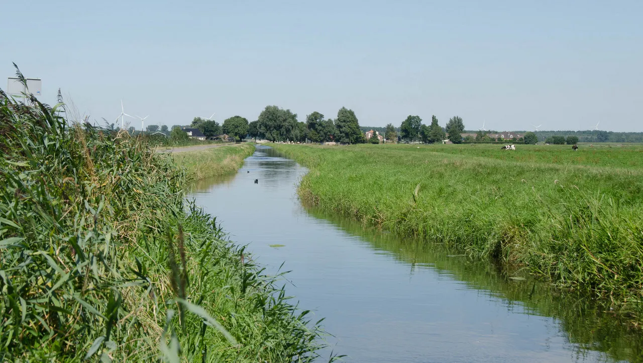 en8is2s0wd4d472pjtxquioka de laak