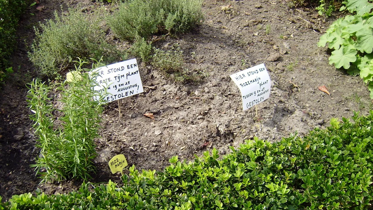 es6kdunx92x7kp04ttxz01pps 2013 09 06 kruidentuin