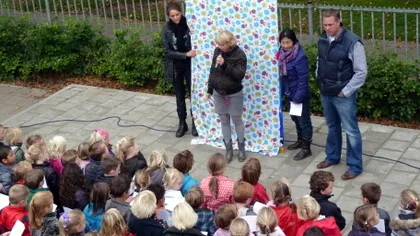 f89nlngqyeelppyz85y1uv8fm 29353