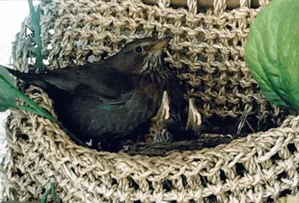 f8pkvovpvmsdxhbzyiyptumz9 63349