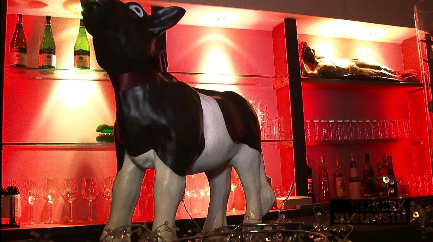 f9jk0ttwm6yfdj3smr1c6hbx8 knipsel 29