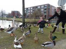 fdae1dicsyxenl5mqa2ozk53t 46981