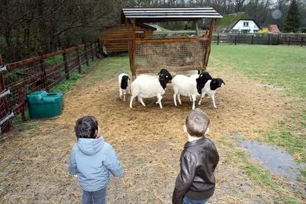 fszdh62fk7i8rncbnjvjubocj 55460