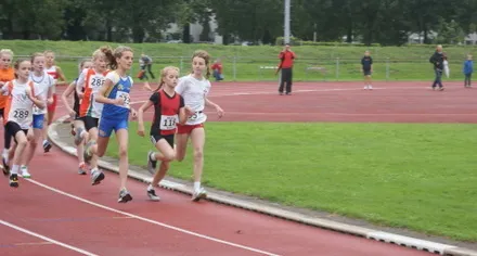 gfe1okvg4ibw071yduipulsvb 86402