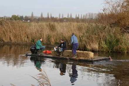 ghny1dtc38sqhs65bd3jpyac7 96032