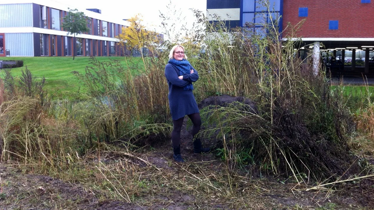 gmvurs9m4hmcre0o9gifya68b 2013 11 05 wijnijkerk andrea