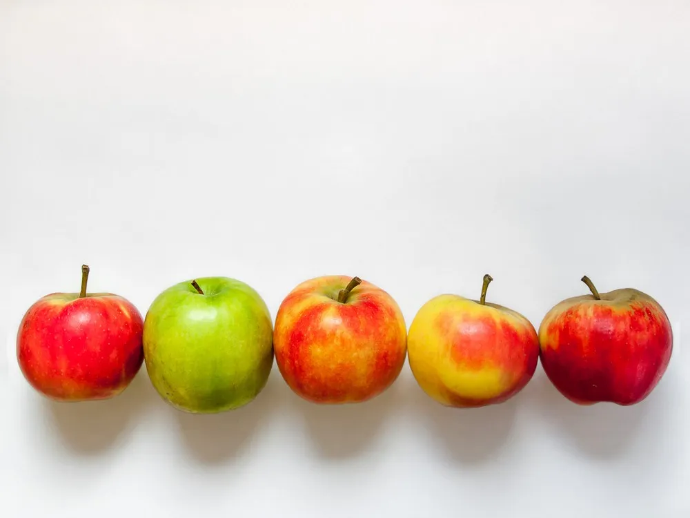 gp7unsuy7kx3hohjgr7vsiwey appelsfruitgezond