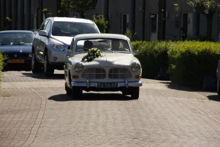 gtu4xzr40h0cc8dzguex9hgpx 145552