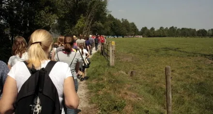 h3g9nkey31v1zwu6vwpb7ofmz 63359