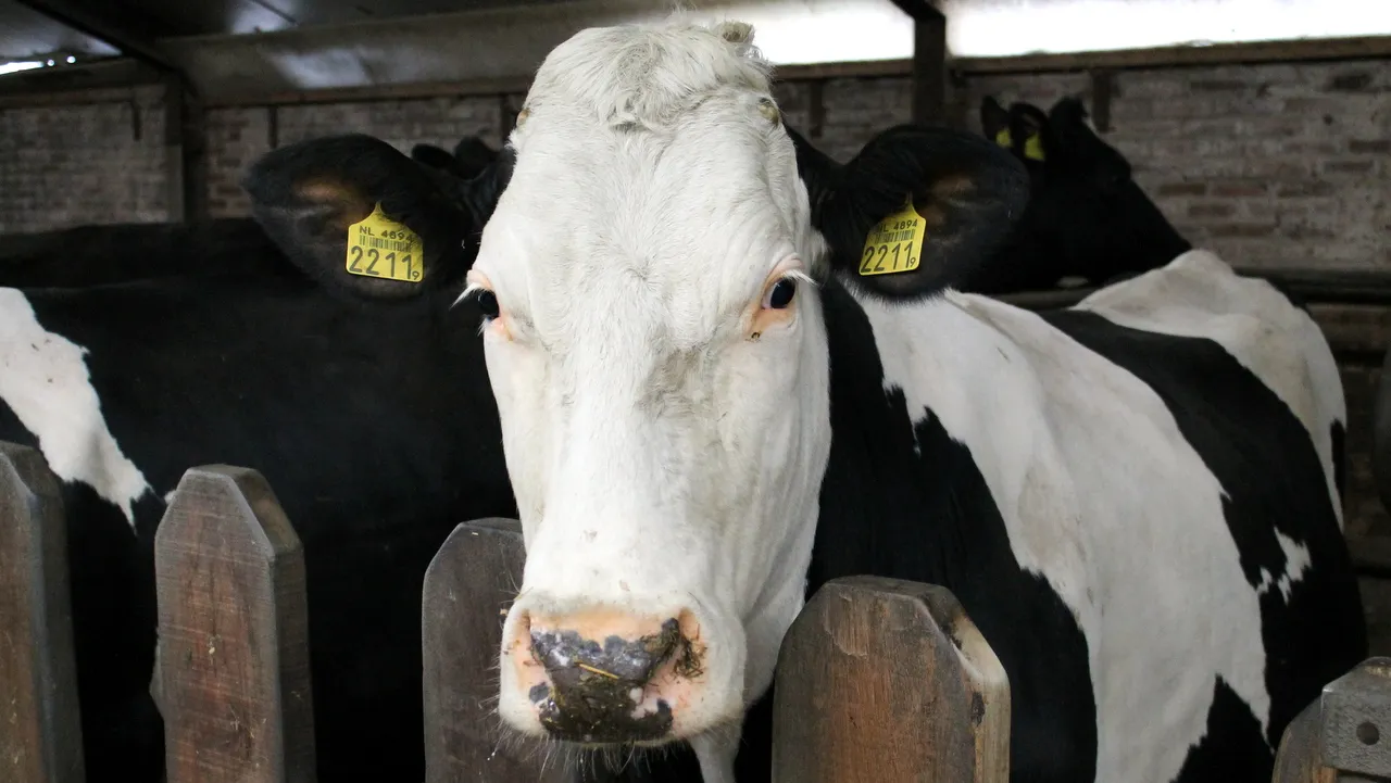 h5xyz3rba47ynpjqh3qalc8db 2014 04 06 vallei boert bewust