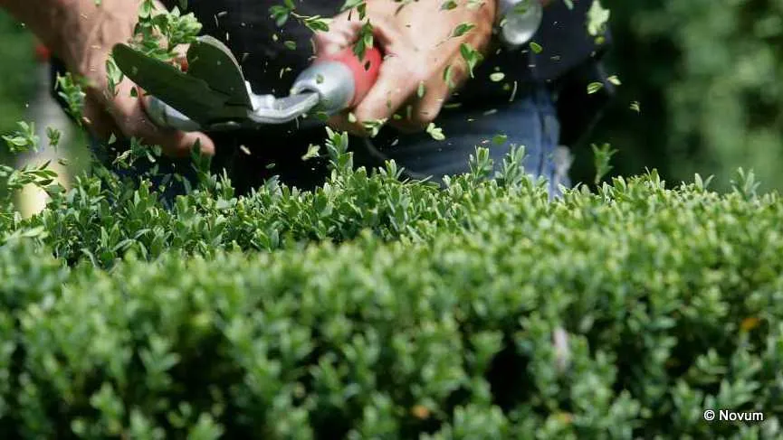 hdjbs948bs4aq5demlvho7q67 1755042007172