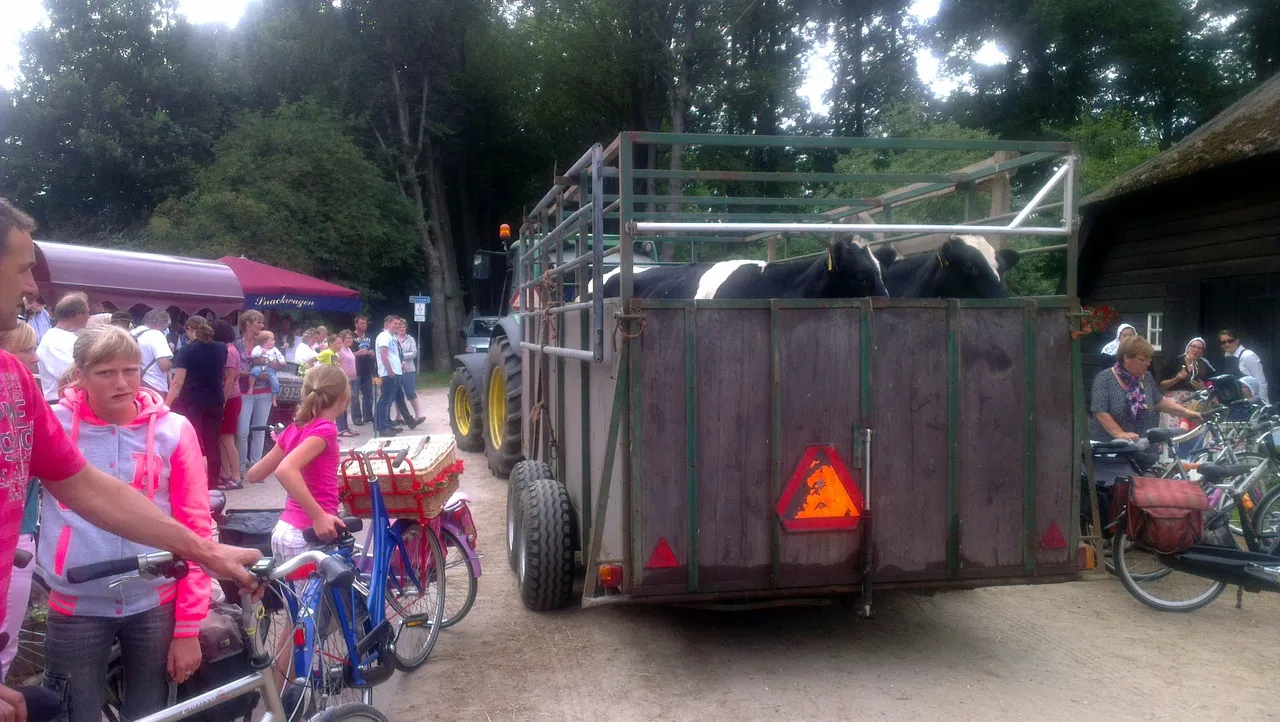 hgzwyi06nwmwifib5uo3pmmnc 2014 07 10 kijlkje achter de staldeuren