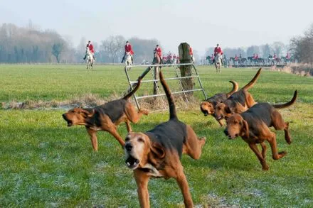 hm15rpkso3nnr1918vr9d2apz 111332