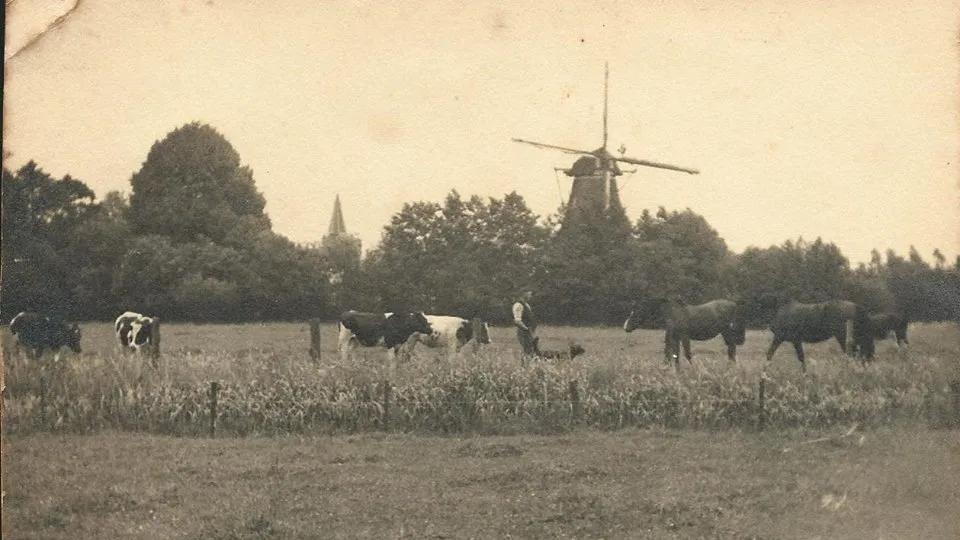 hoevelaken molen