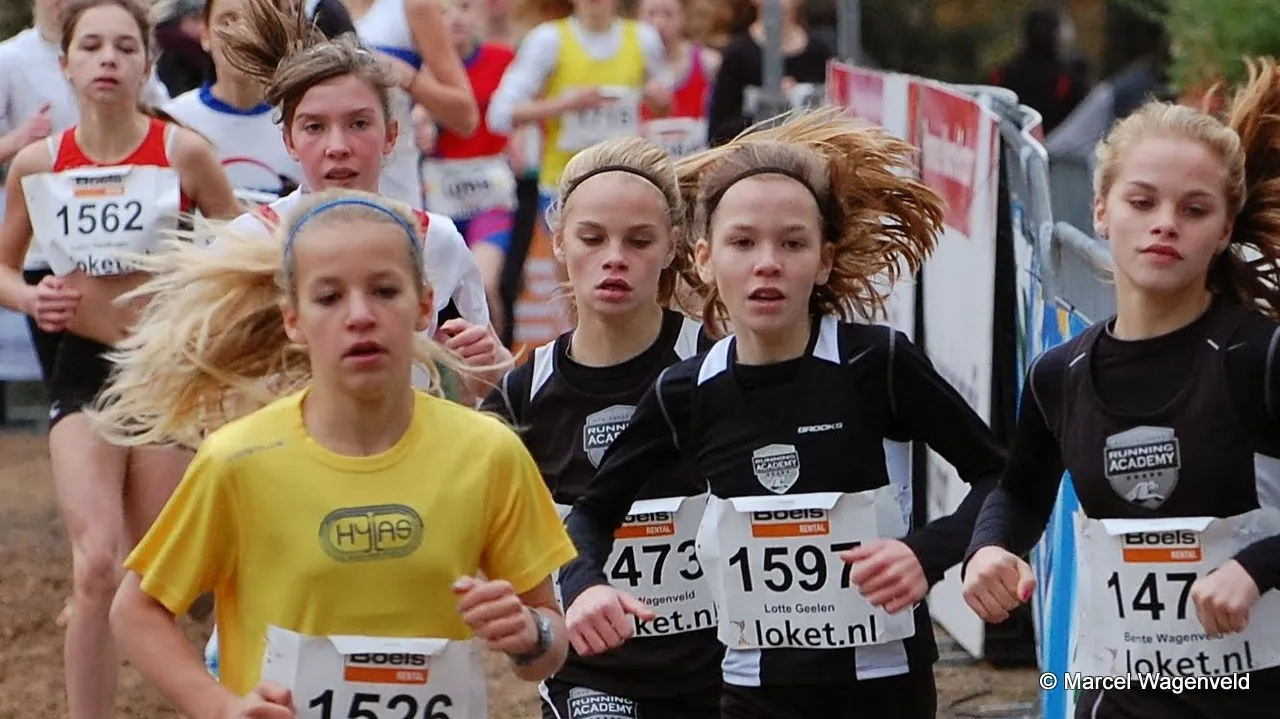 hyguy4euroo4bsdru9zq18cd9 2013 11 24 wagenveld