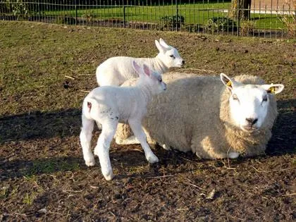 i4qqw9jw4f0akrmhizo6pzv0a 46624