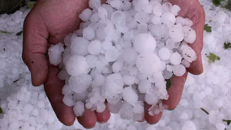 ibspkv8fvek6mhikub53c3b3a 70840