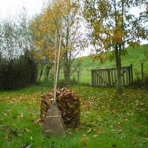 ikjken4snq3p8qwzu0zun69fs 97480