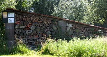 iklklv13crfq258p2s6kpasj2 151192