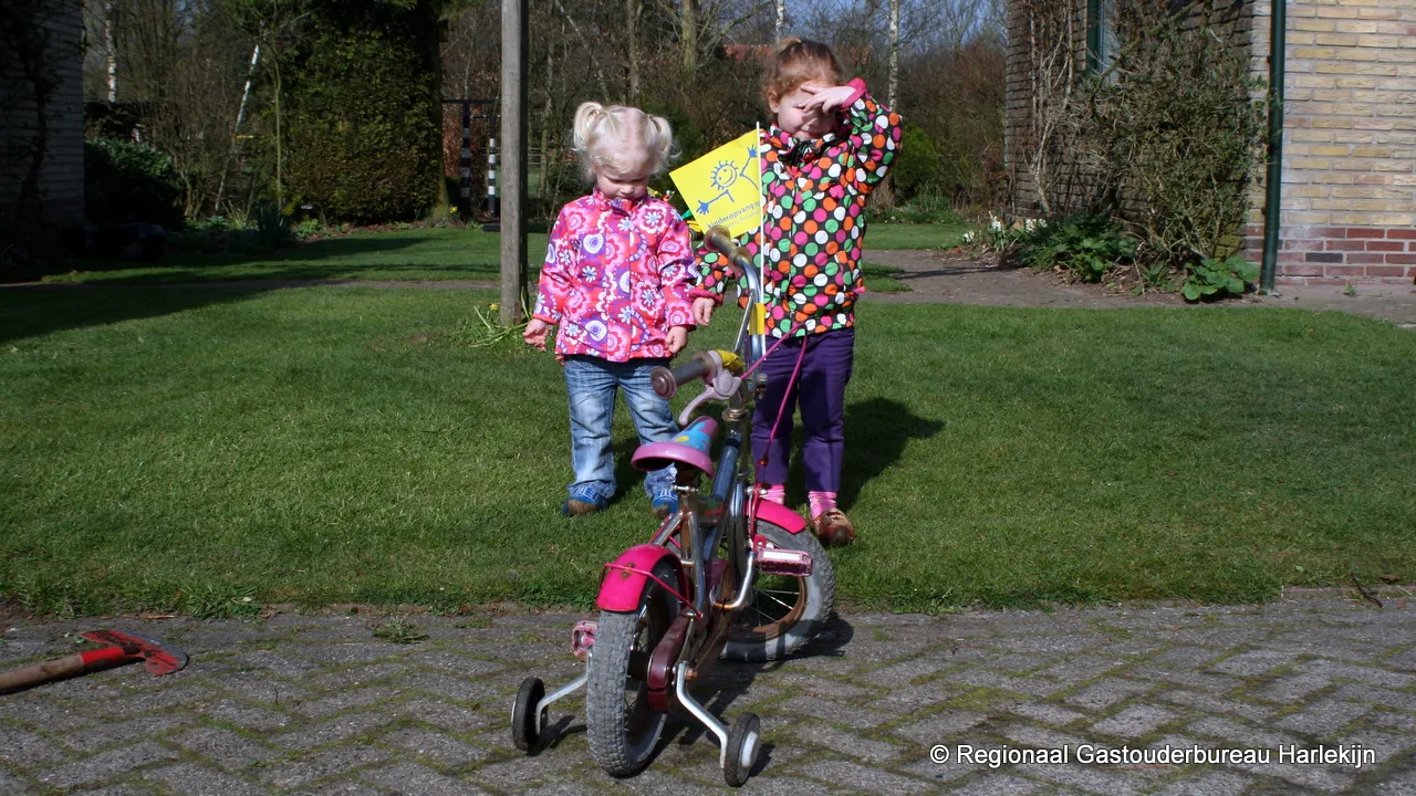 imb6qqry11v716pdlphypc8xx 2014 03 06 harlekijn