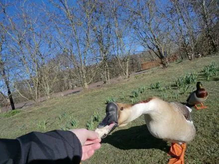 ip6ogx7m8svzef93krcuej44y 49372