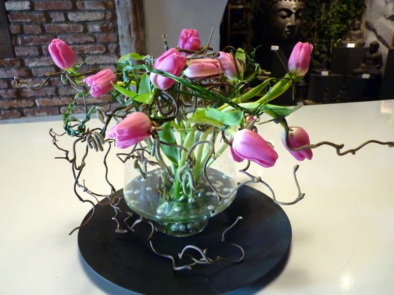 istjqu35q4cbzi5zuyvzuqnrz 204502