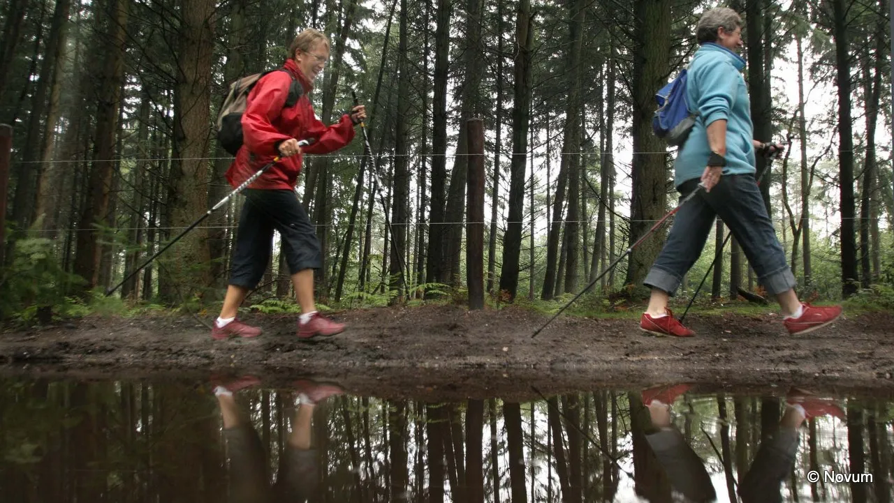 j0l8gzgm6ouz9rtegpdu1pqf6 nordic walking