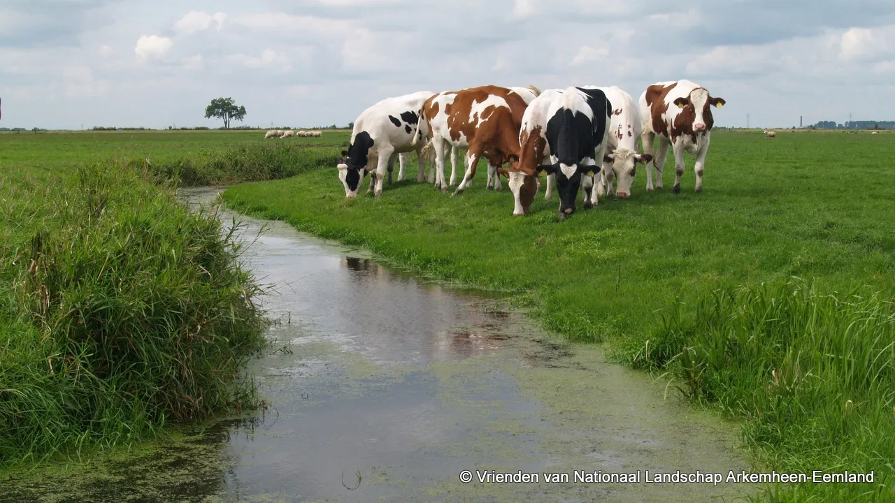 j4bbe5g0ro48l2d92gfl7r4q8 polder arkemheen 3