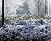 jda5czbl1jqnunusjoe3ih67x 116033