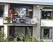 jisfl7i5gp42q81v6kbi0flx3 151134