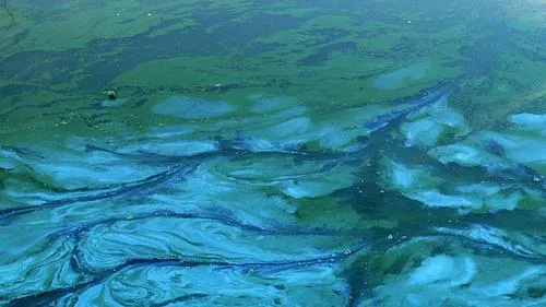 k50vl7if6dpjatutxj4h8ldwv aioqievr7y9b48kl14ob2no42 w500 c