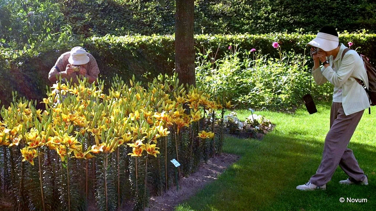 kie5gxlk951t6ihs2xiyoj0as keukenhof