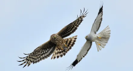 kx81ryec2u2c7sbm2707my1mz 186054