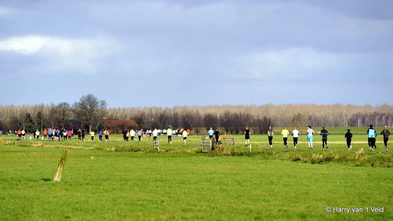 kzjbdl7kry61ll1azji84fln8 2014 12 06 koude polderloop