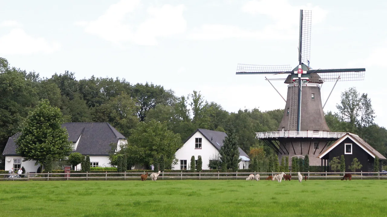 l5vjv7y4n1tzl2lvqa5silk4s appelse molen