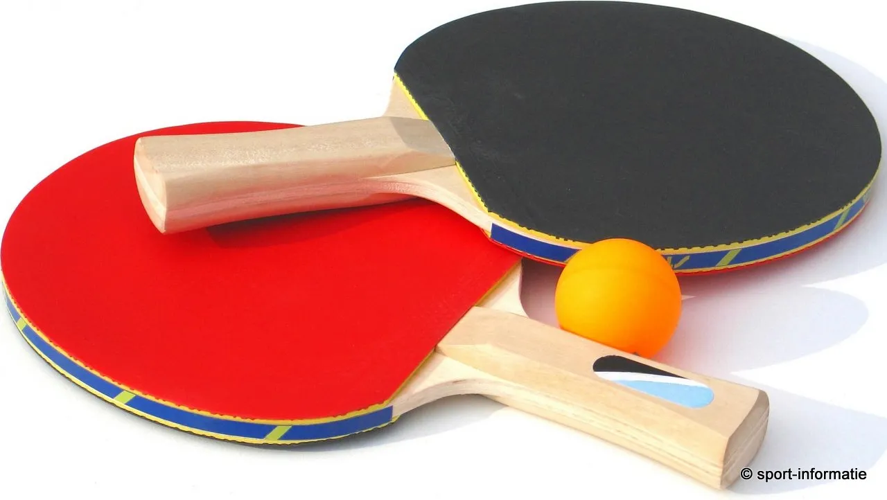 lk0nrqpj6msd703au6xkebwt0 tafeltennis