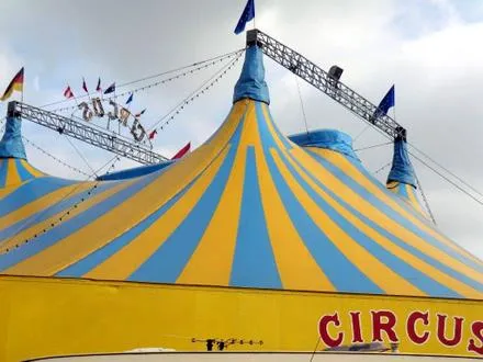 lmw8xhddqzt8oglbd9feujbjs 88981