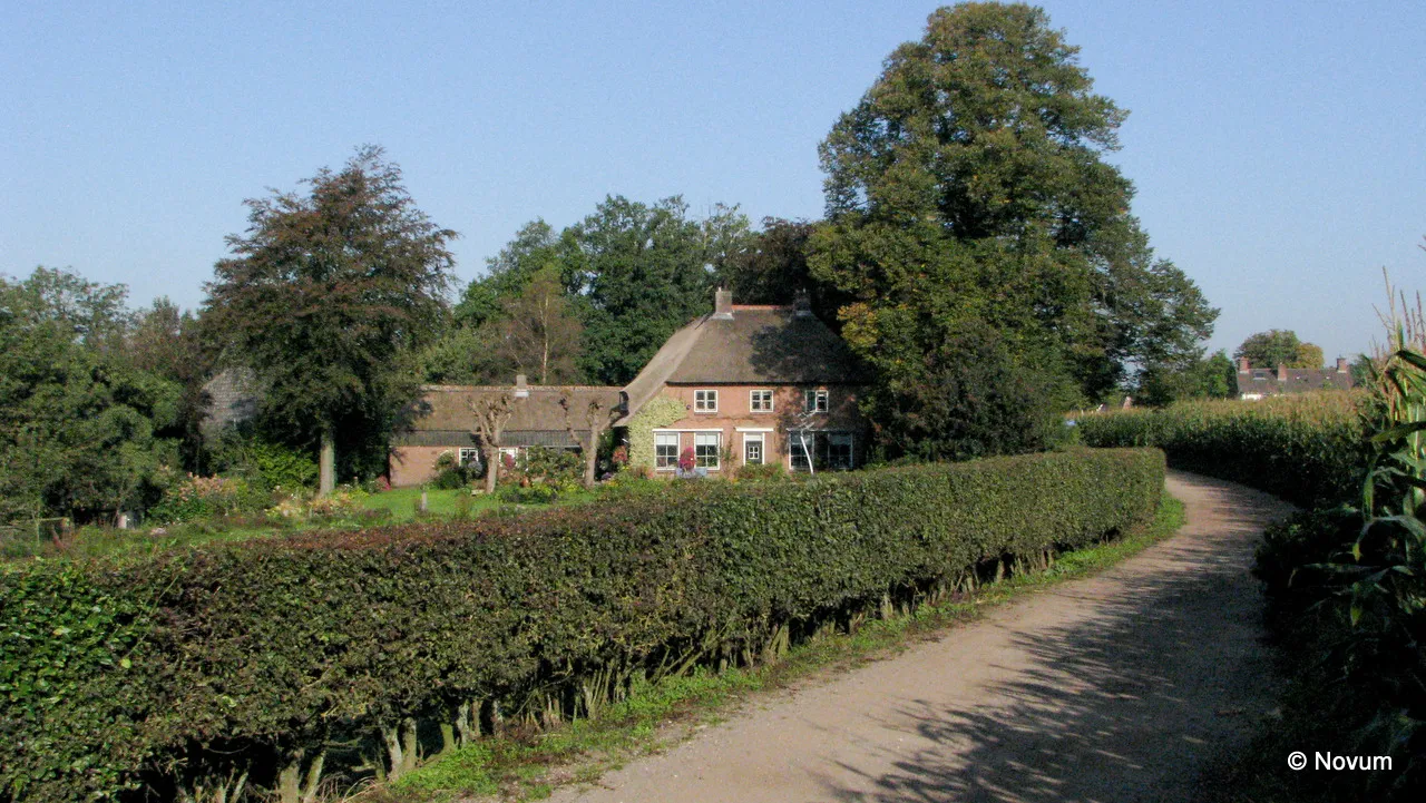 lnyreeyrbhvmeh0fwuui8p9xa wfapix 3