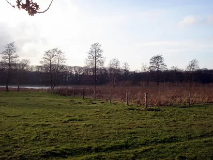 lyf9yt05xr6ygwr6e980vrrpr 123121